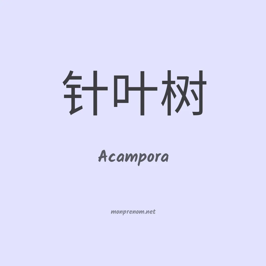 Acampora en chinois
