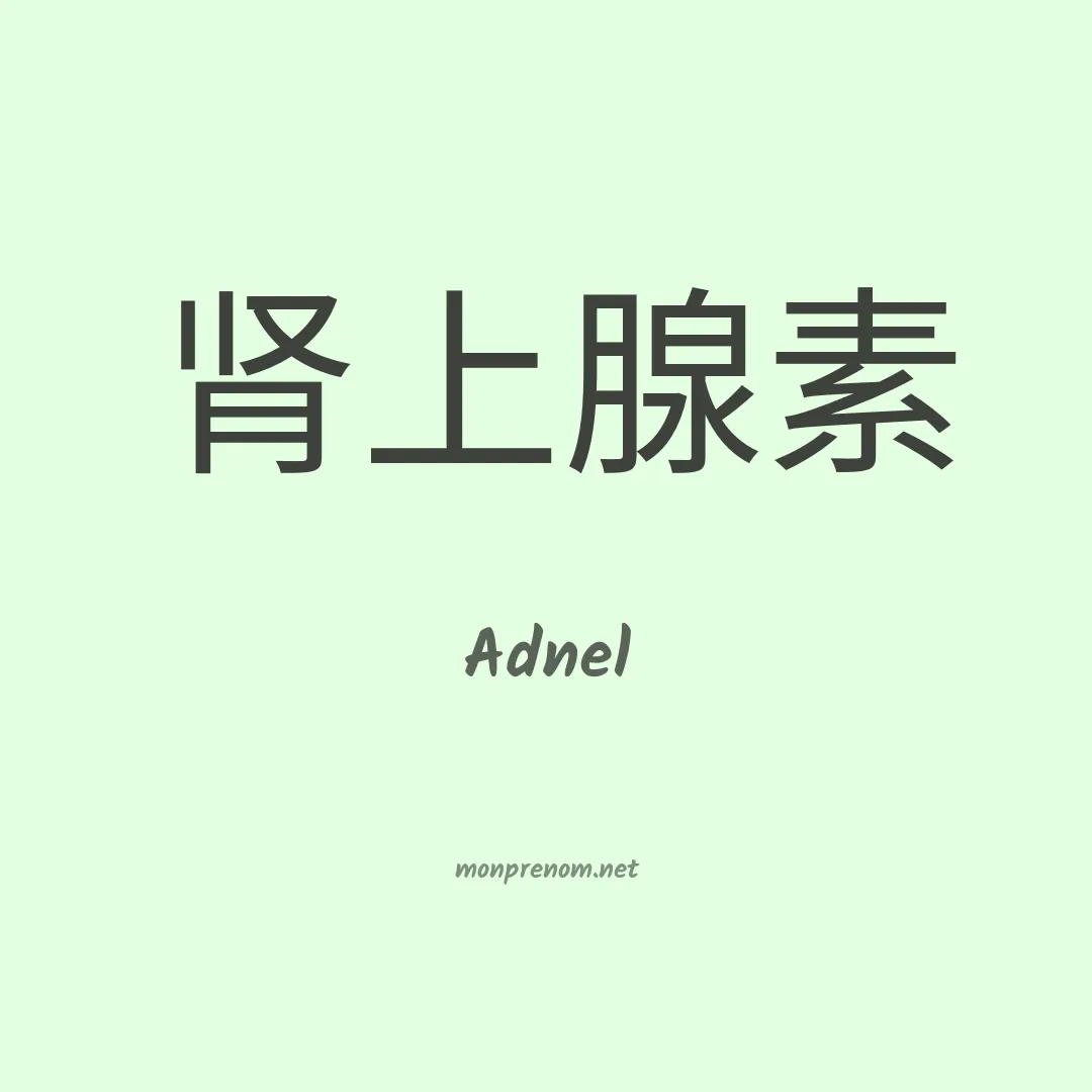Adnel en chinois