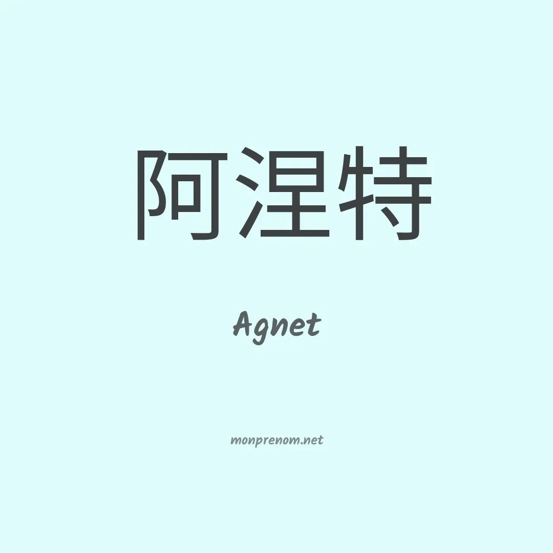 Agnet en chinois