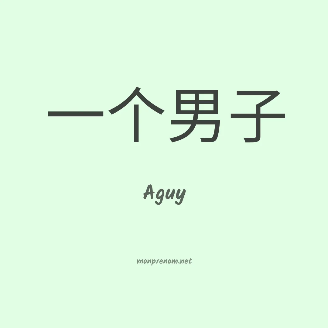 Aguy en chinois