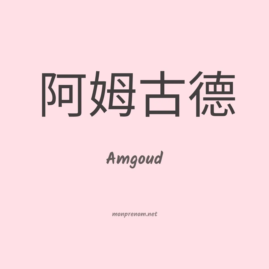 Amgoud en chinois