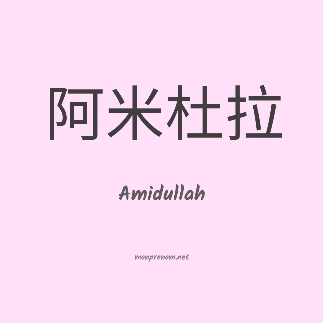 Amidullah en chinois
