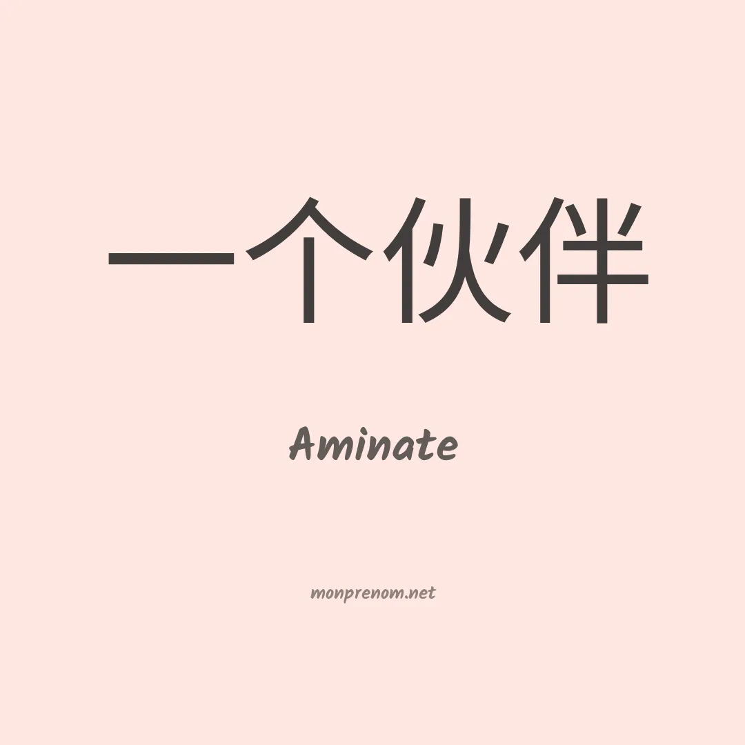 Aminate en chinois
