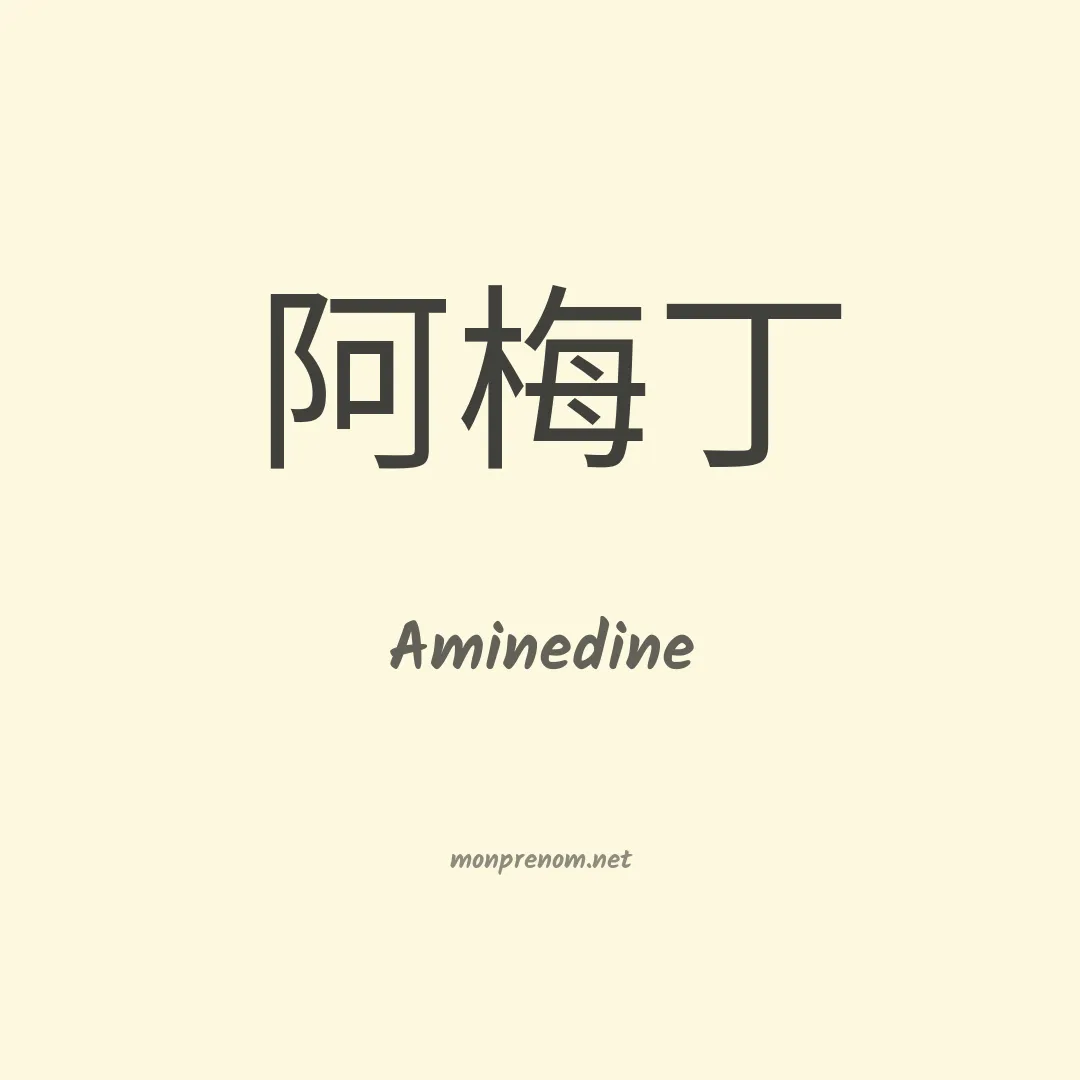 Aminedine en chinois