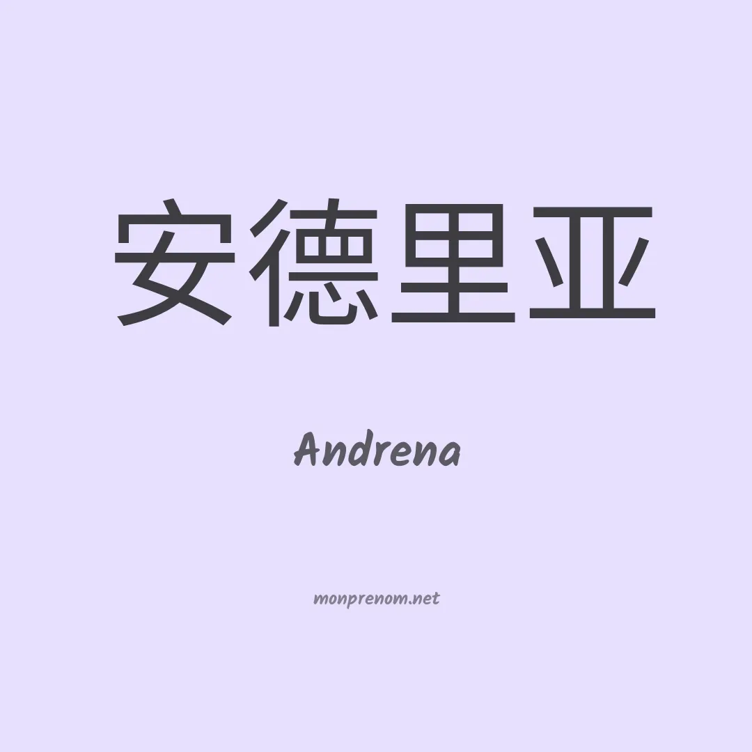 Andrena en chinois