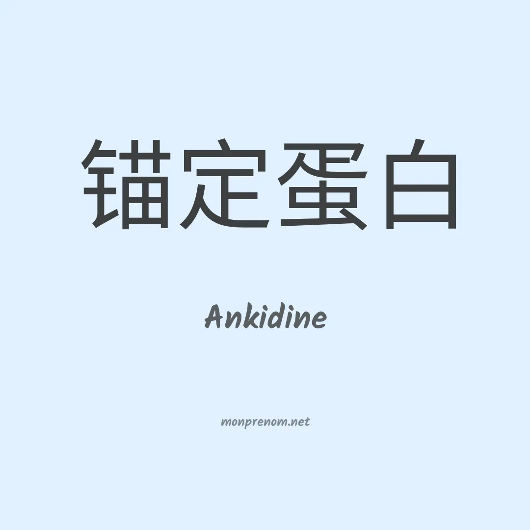 Ankidine en chinois