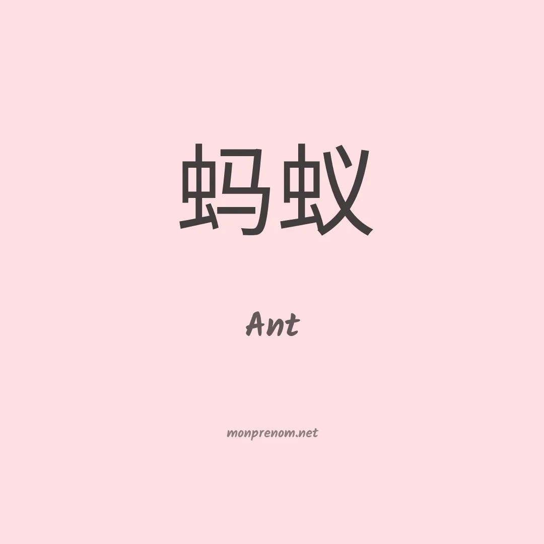 Ant en chinois