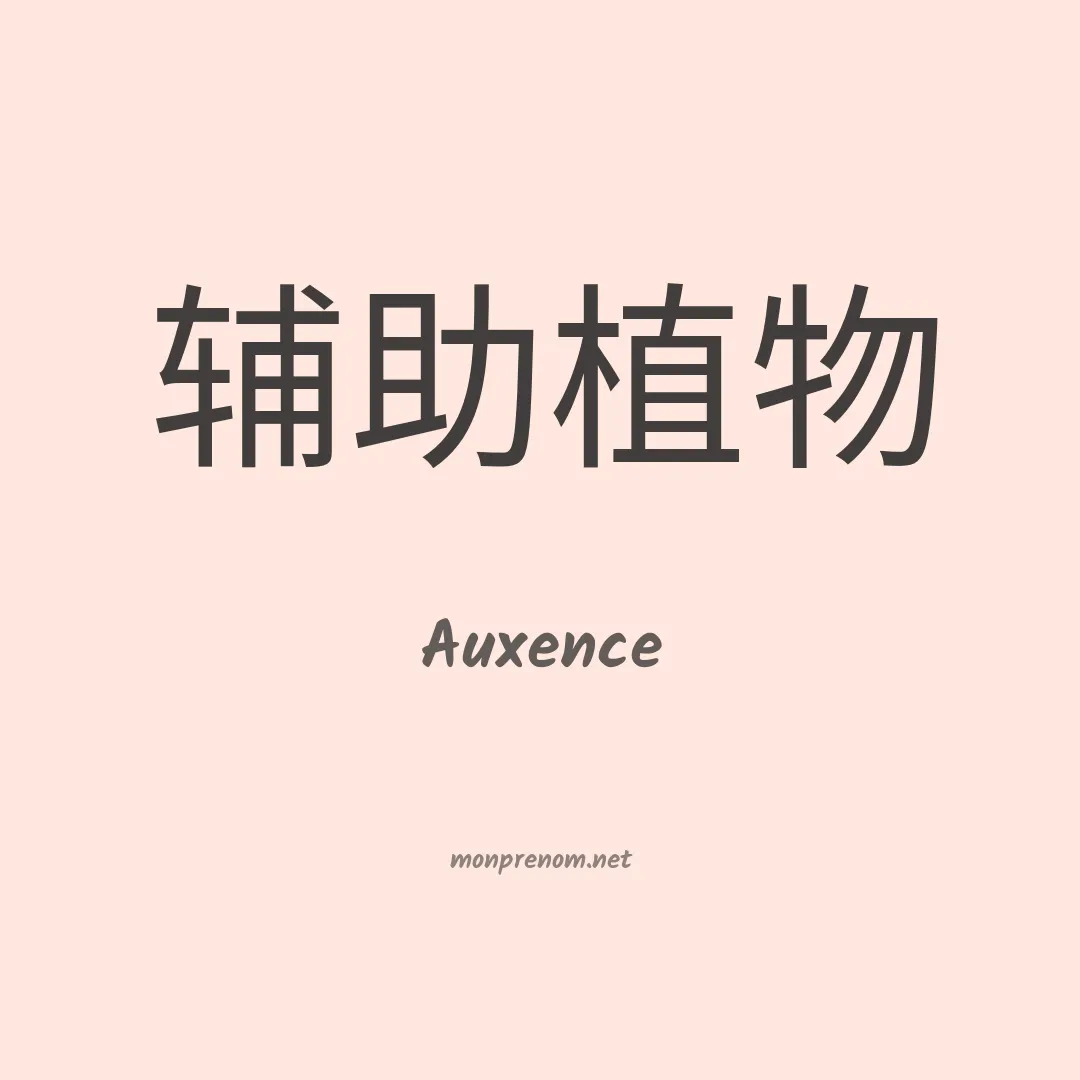 Auxence en chinois