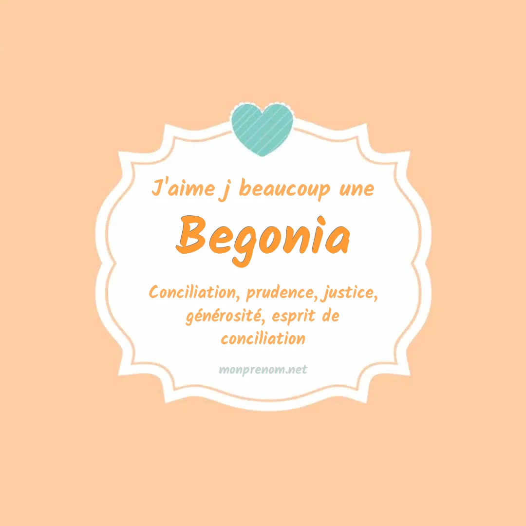 J'aime beaucoup Begonia