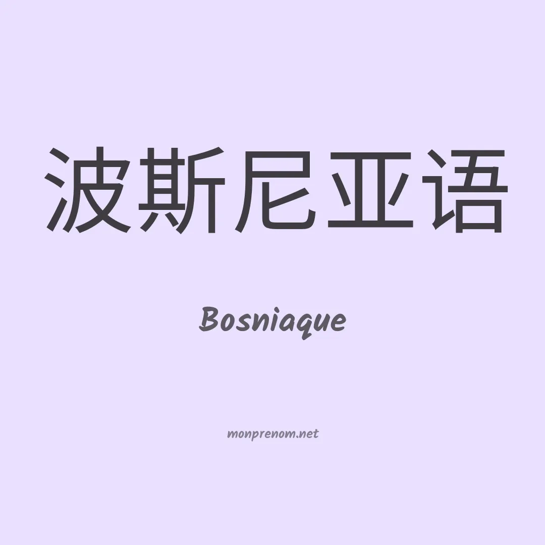Bosniaque en chinois