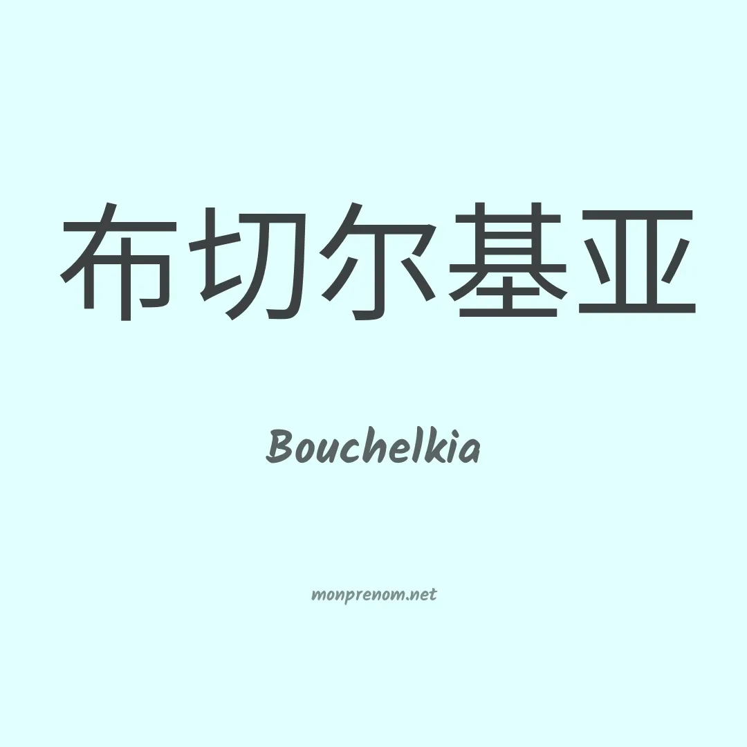 Bouchelkia en chinois