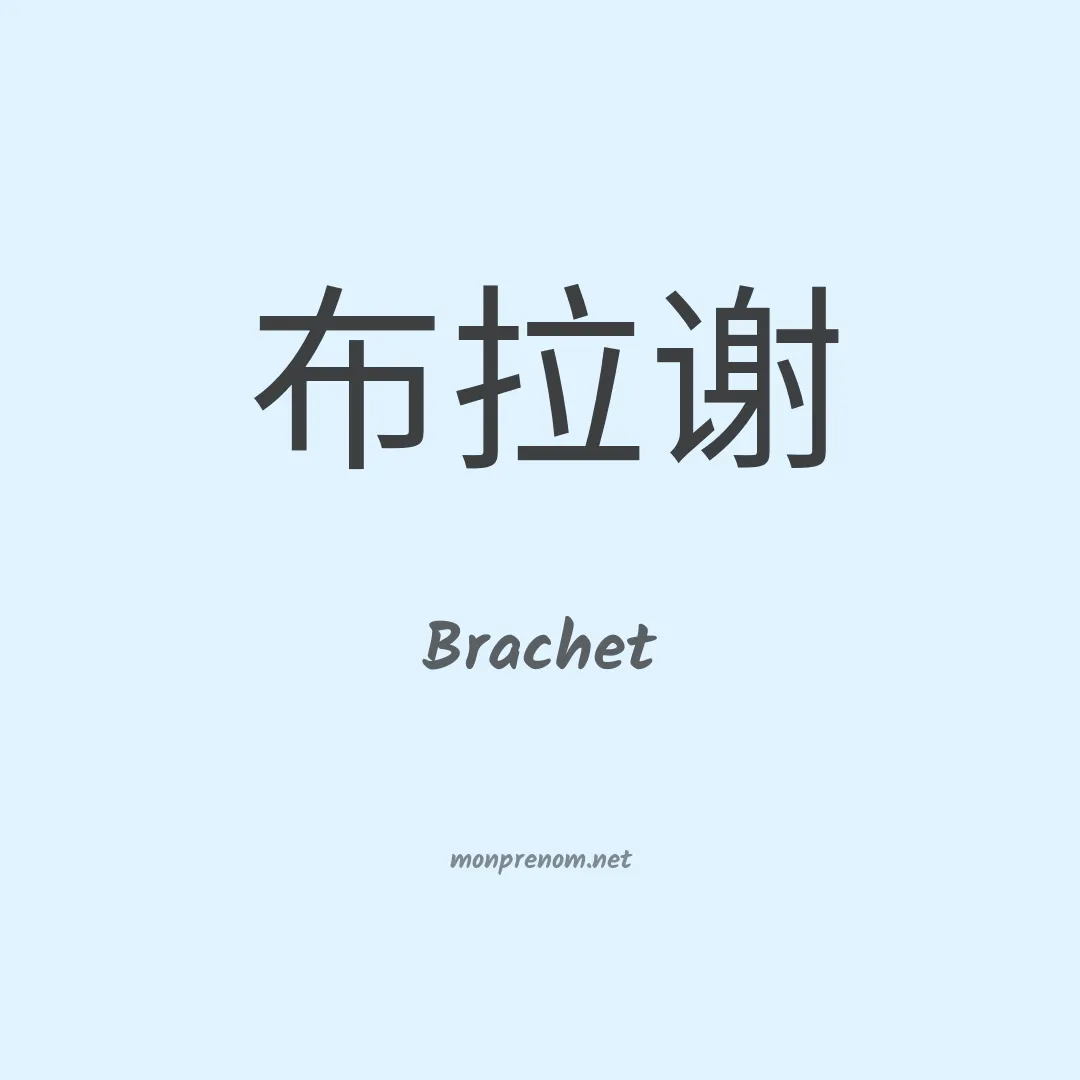 Brachet en chinois
