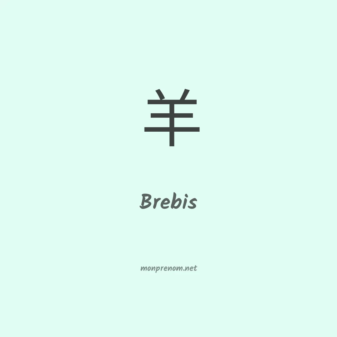 Brebis en chinois