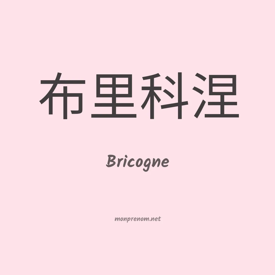 Bricogne en chinois