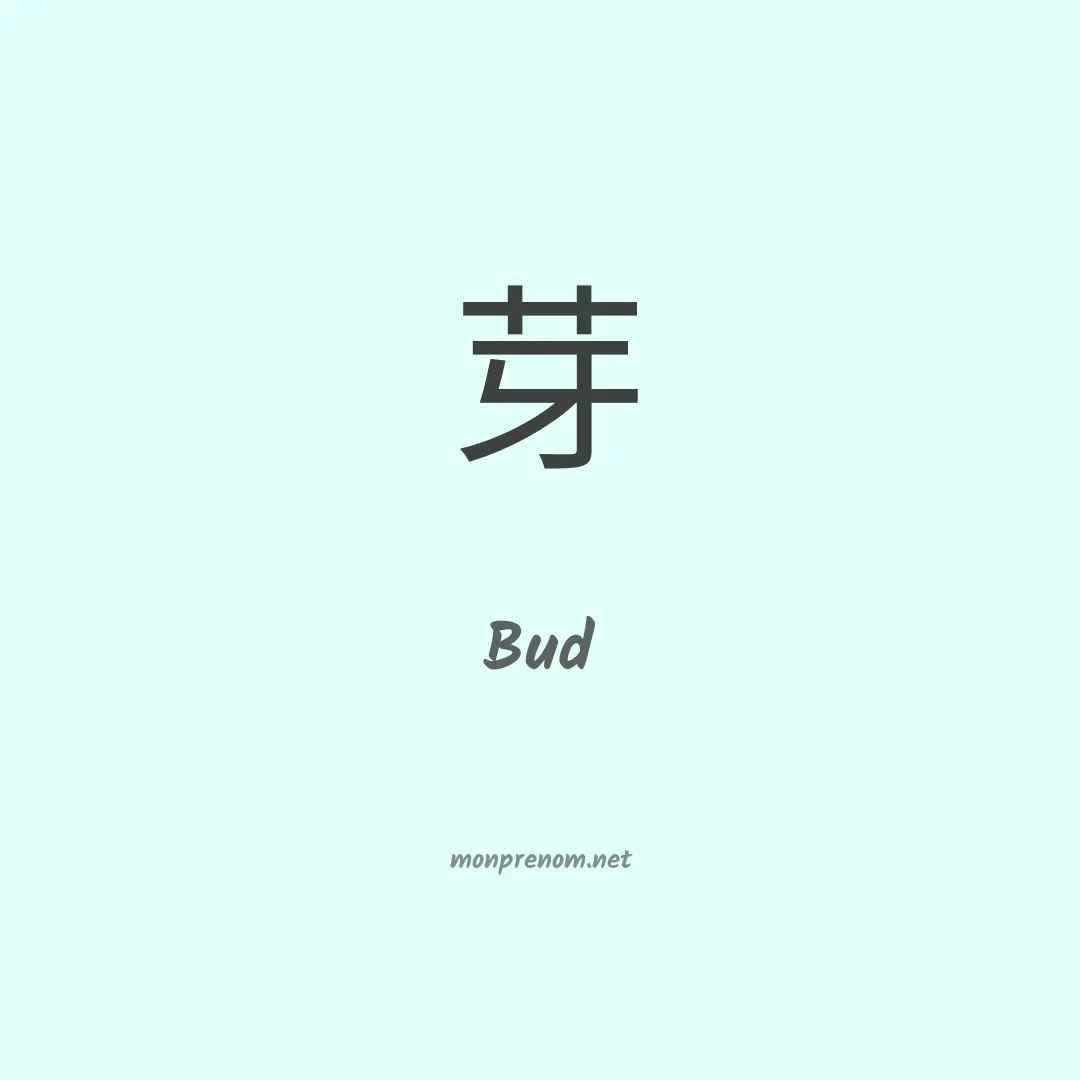 Bud en chinois