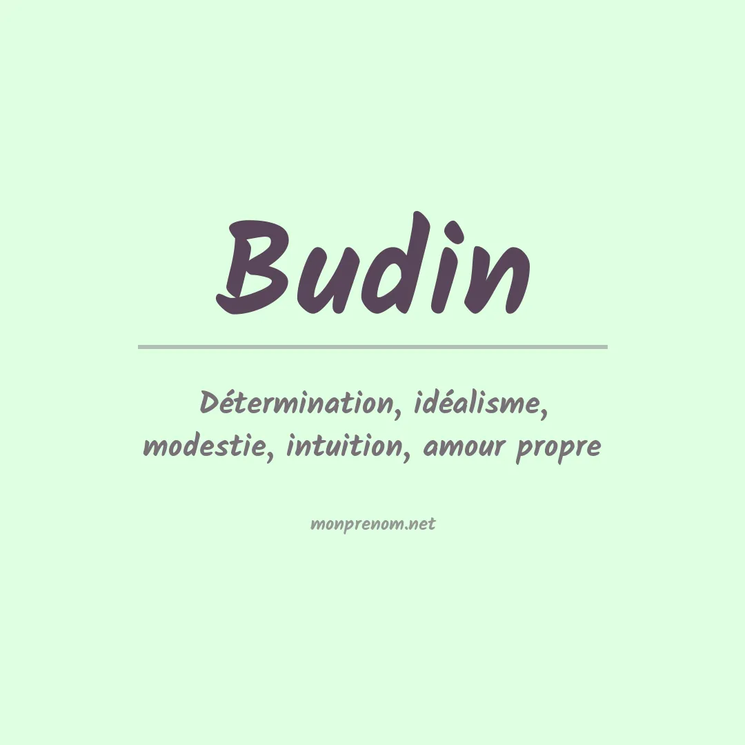 Prénom Budin