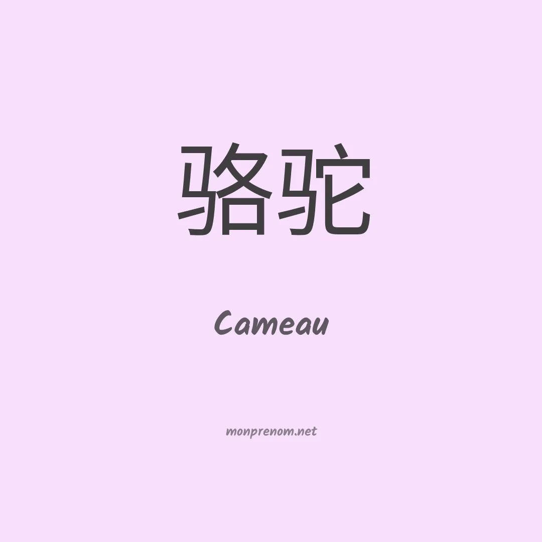 Cameau en chinois