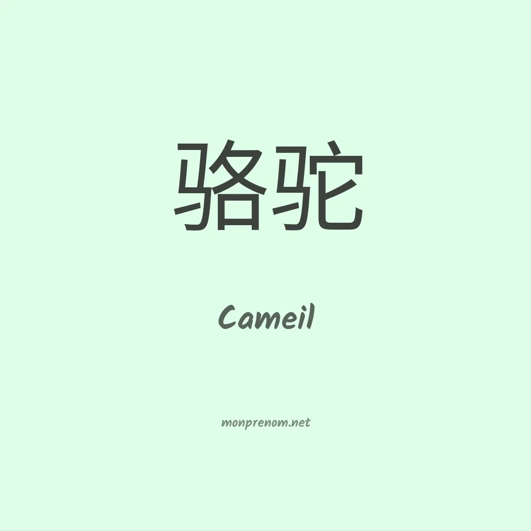 Cameil en chinois