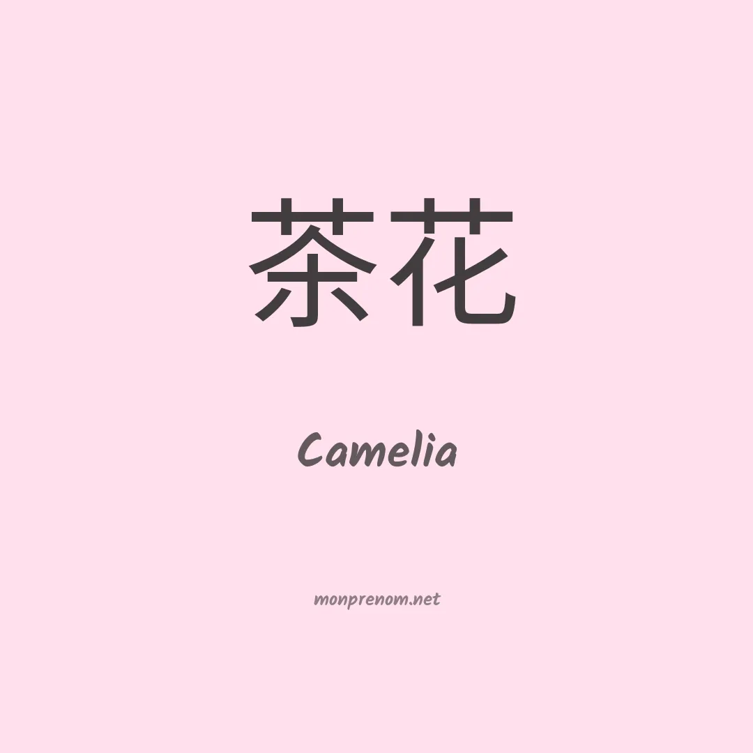 Camelia en chinois