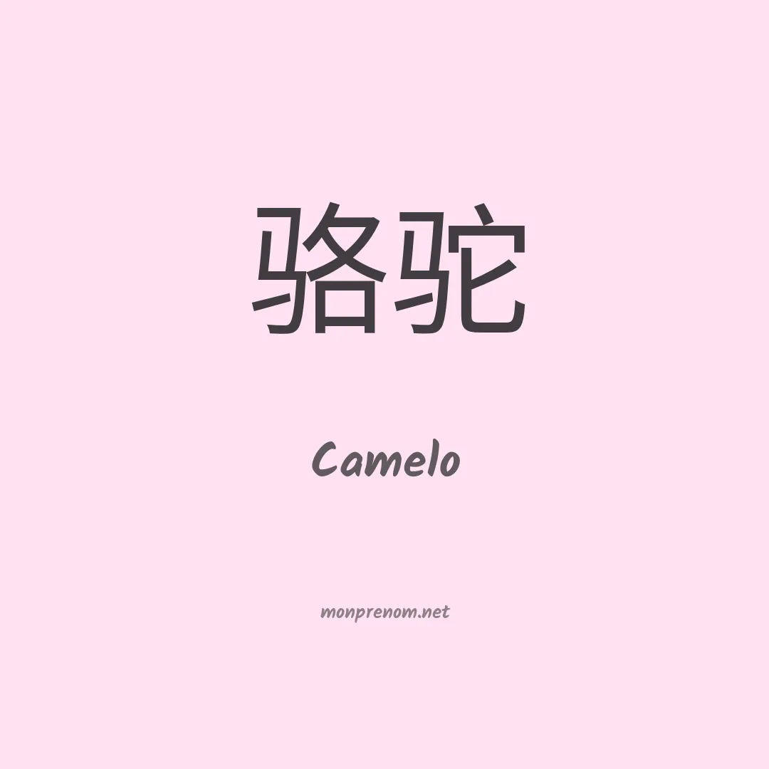 Camelo en chinois