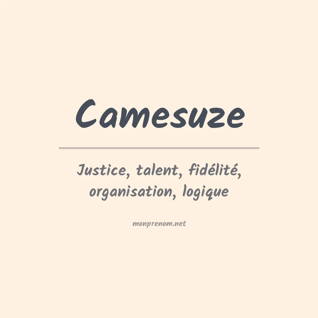 Signification du prénom Camesuze