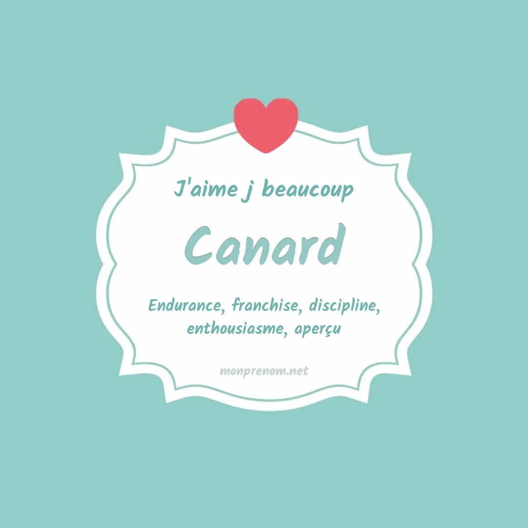 J'aime beaucoup Canard