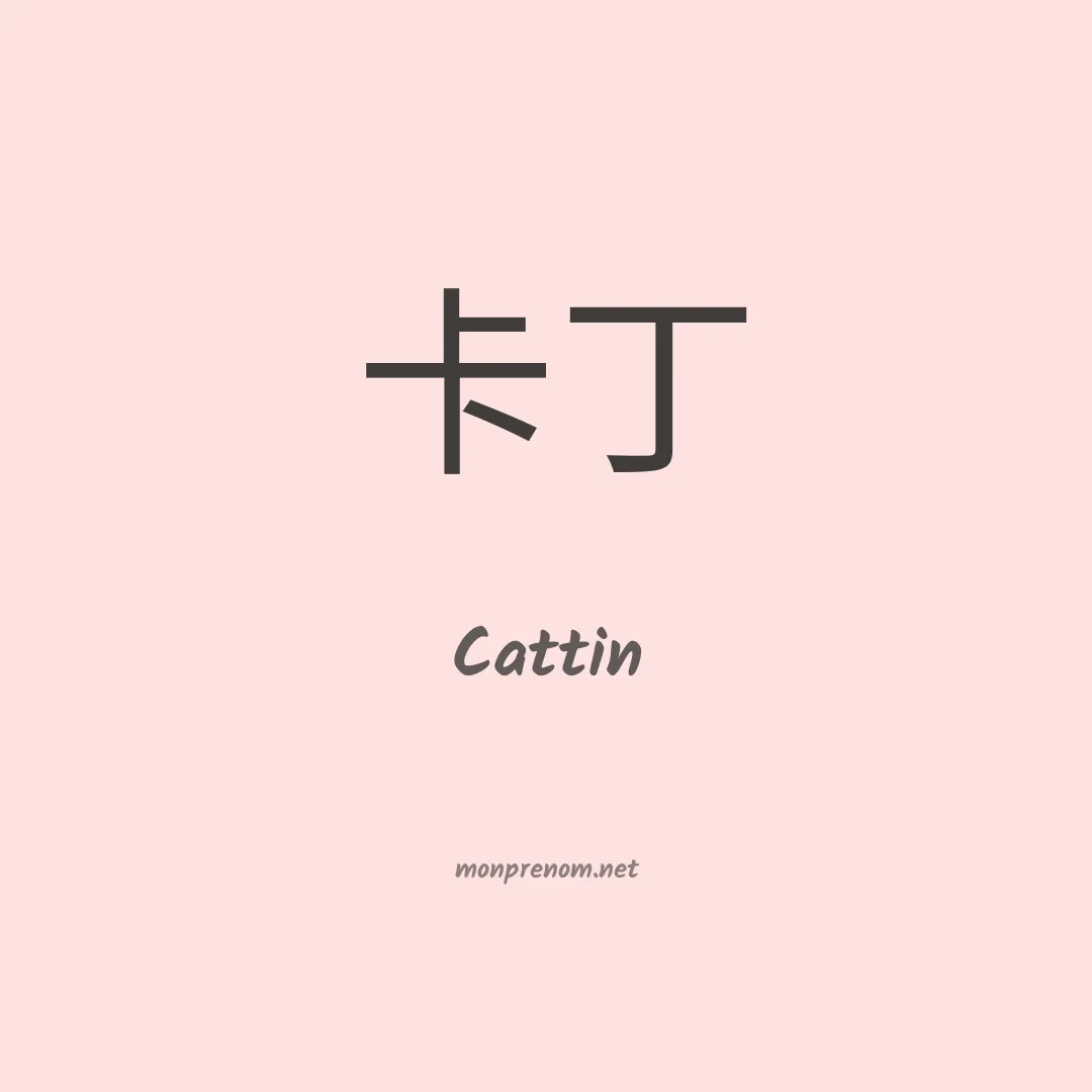 Cattin en chinois
