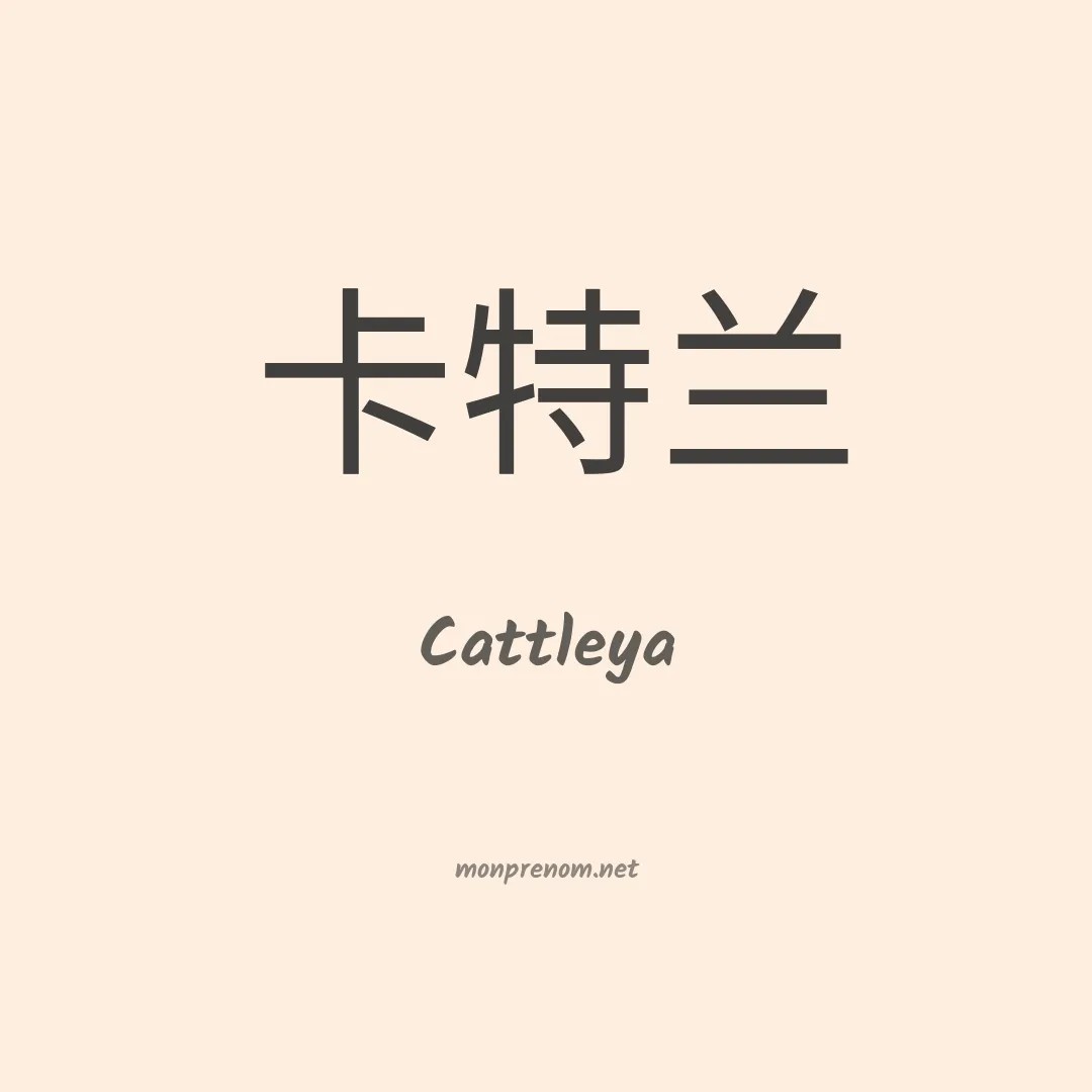 Cattleya en chinois