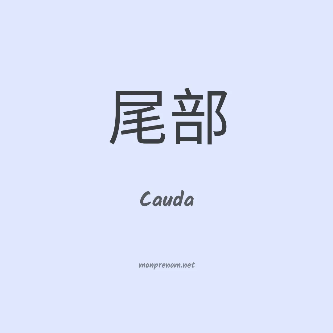 Cauda en chinois