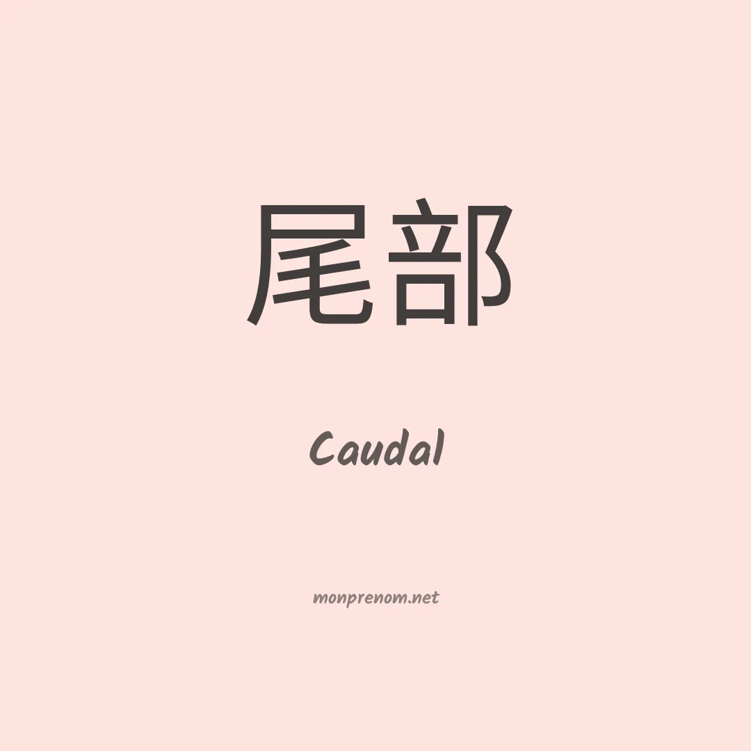 Caudal en chinois