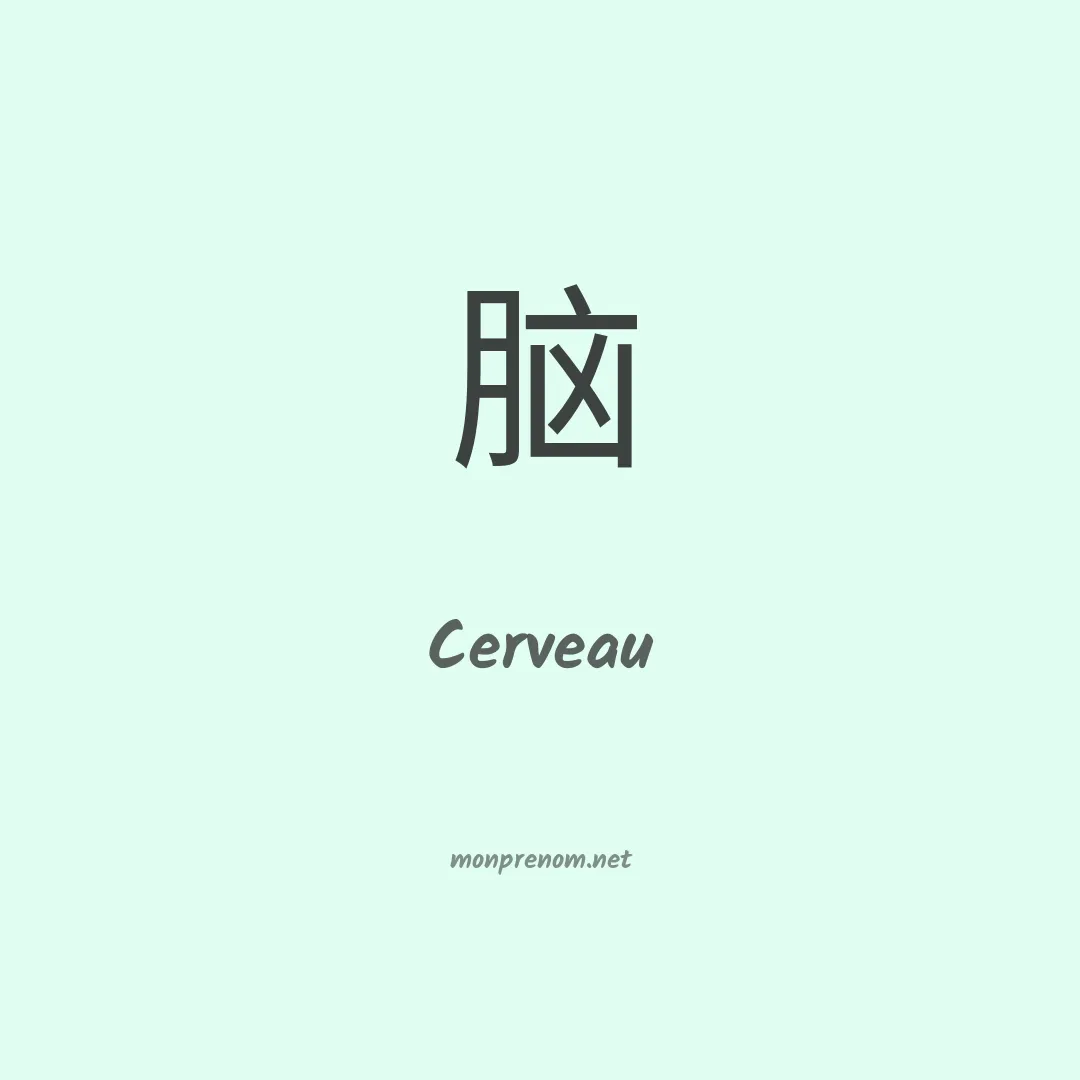 Cerveau en chinois
