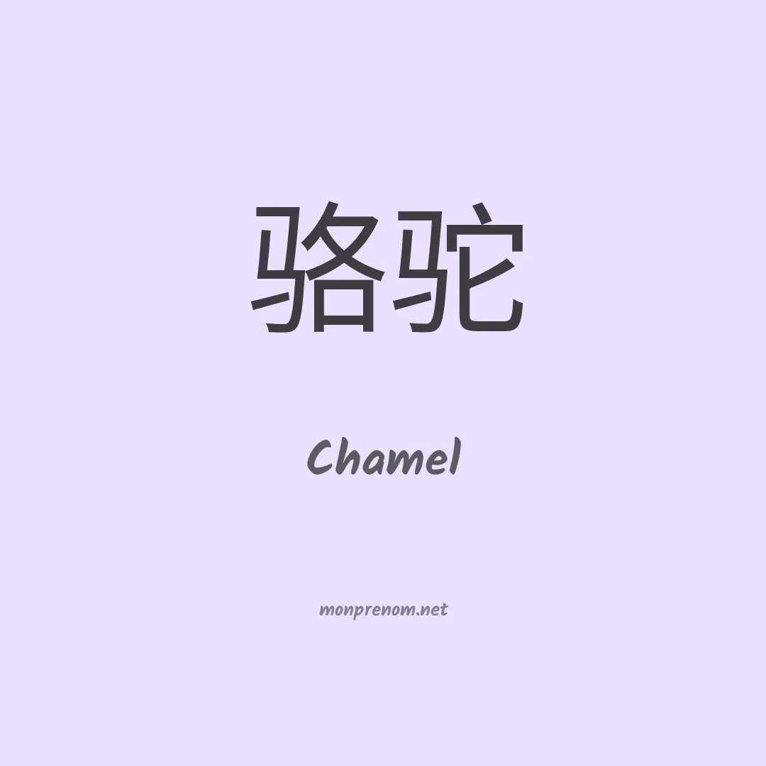 Chamel en chinois
