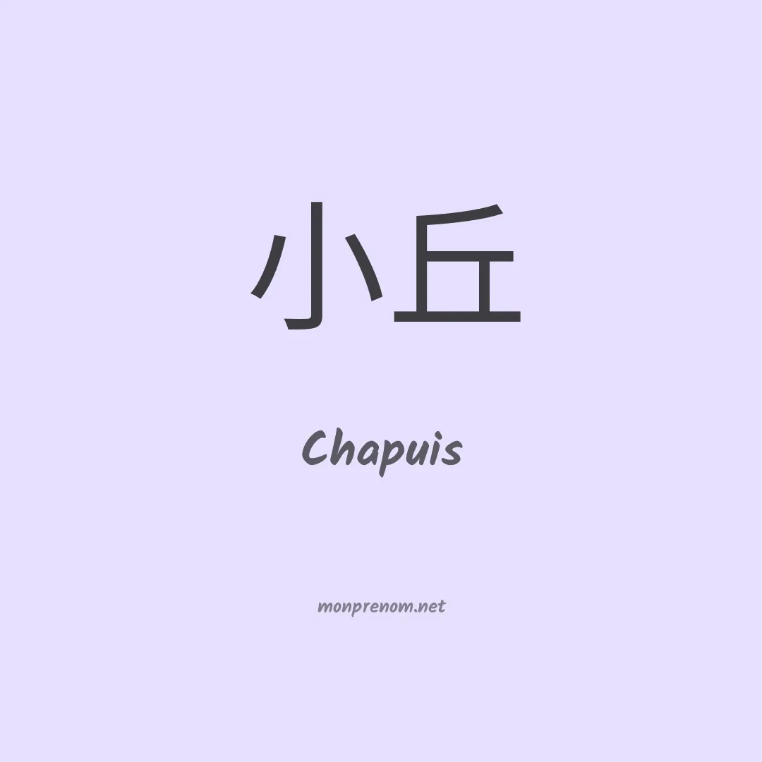 Chapuis en chinois