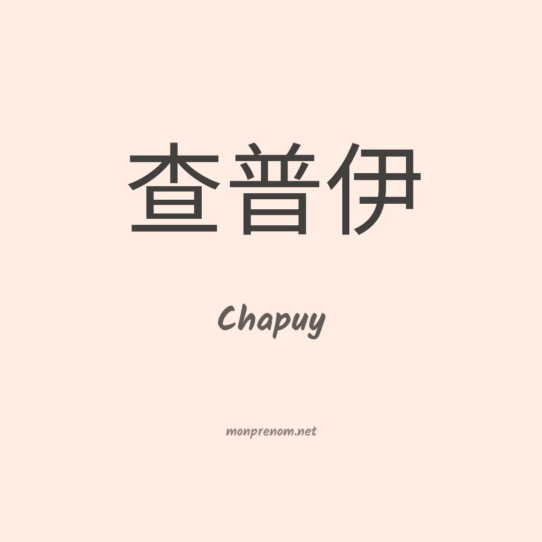 Chapuy en chinois