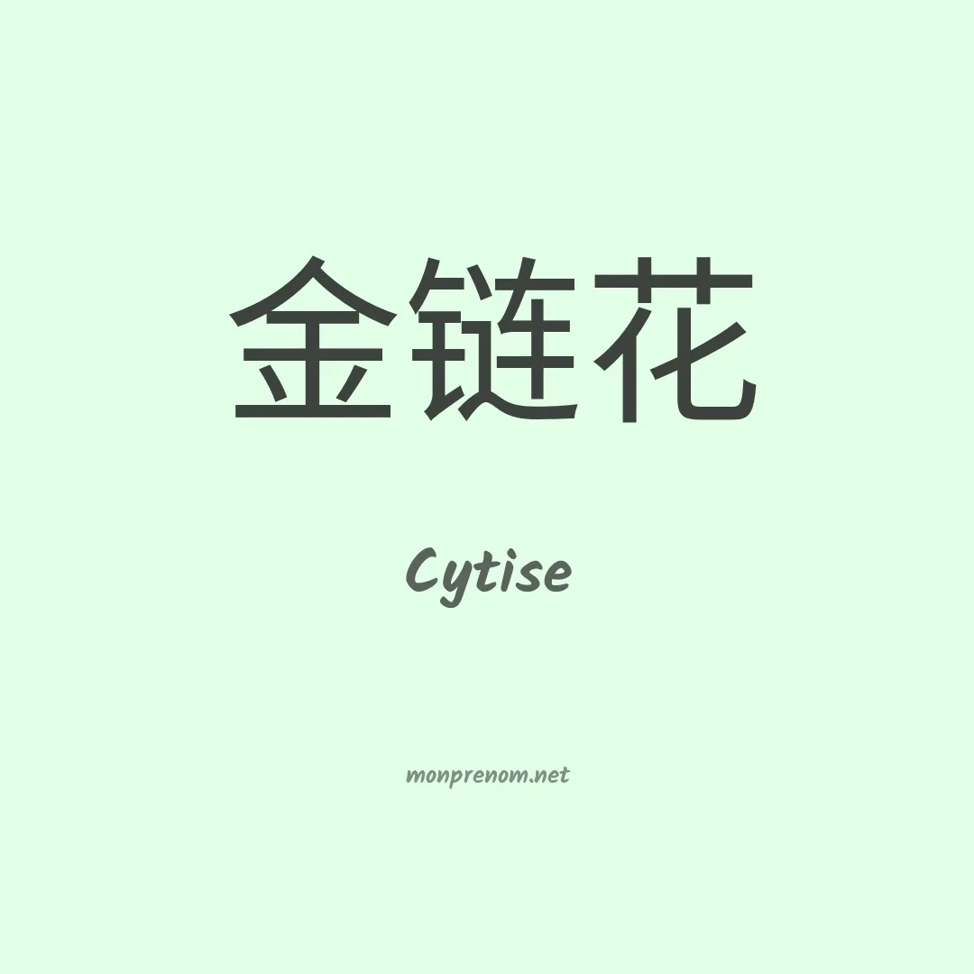 Cytise en chinois