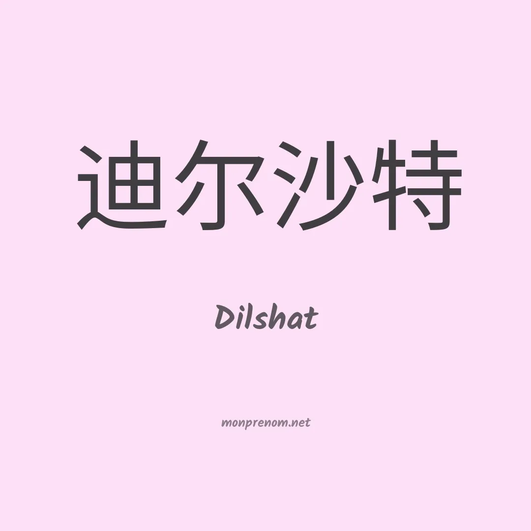 Dilshat en chinois