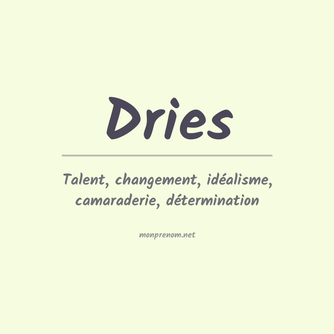 Prénom Dries