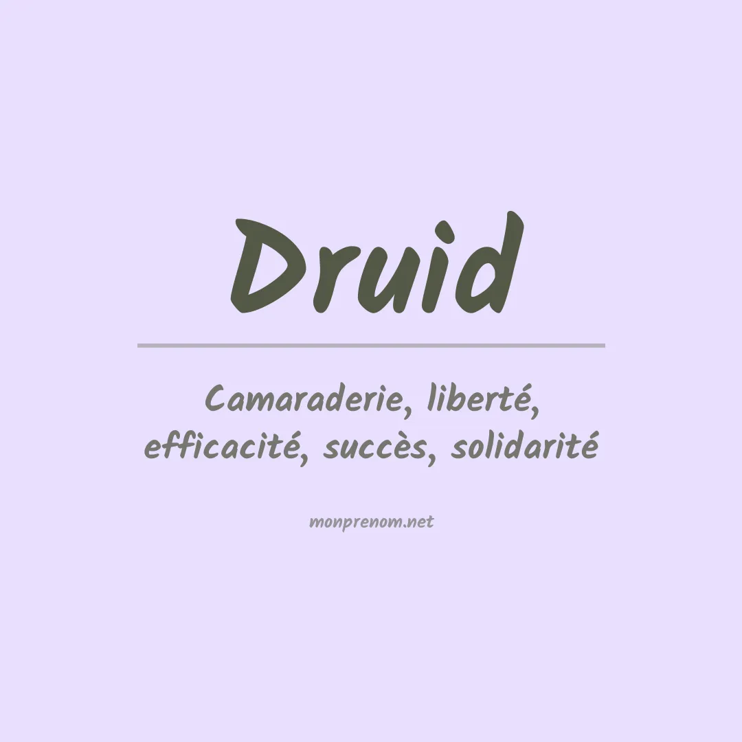 Signification du prénom Druid