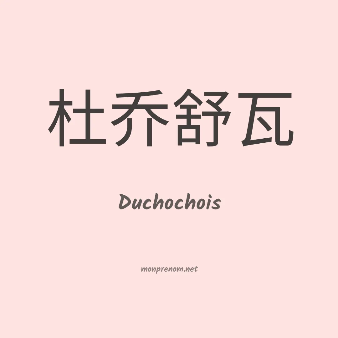Duchochois en chinois