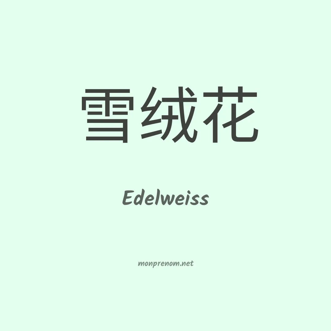 Edelweiss en chinois