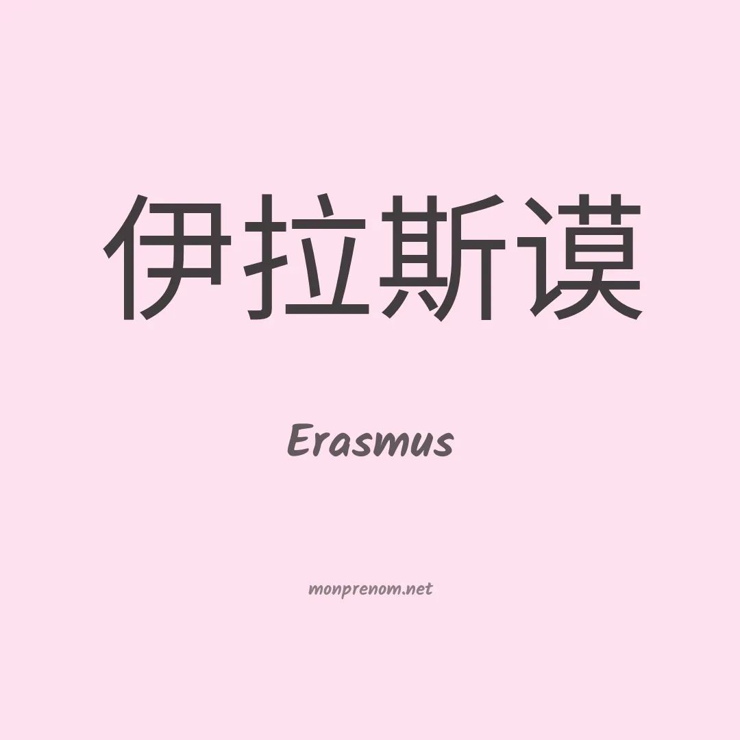 Erasmus en chinois