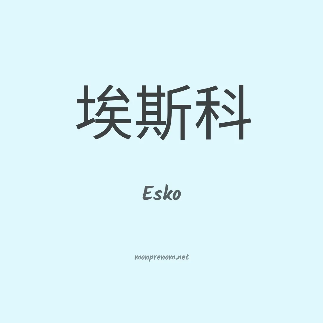 Esko en chinois