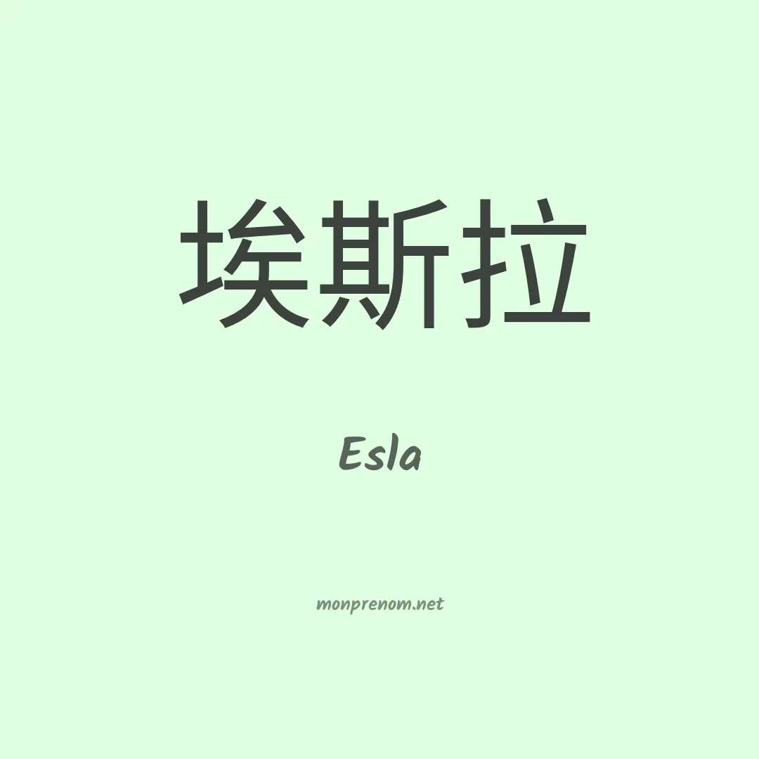 Esla en chinois