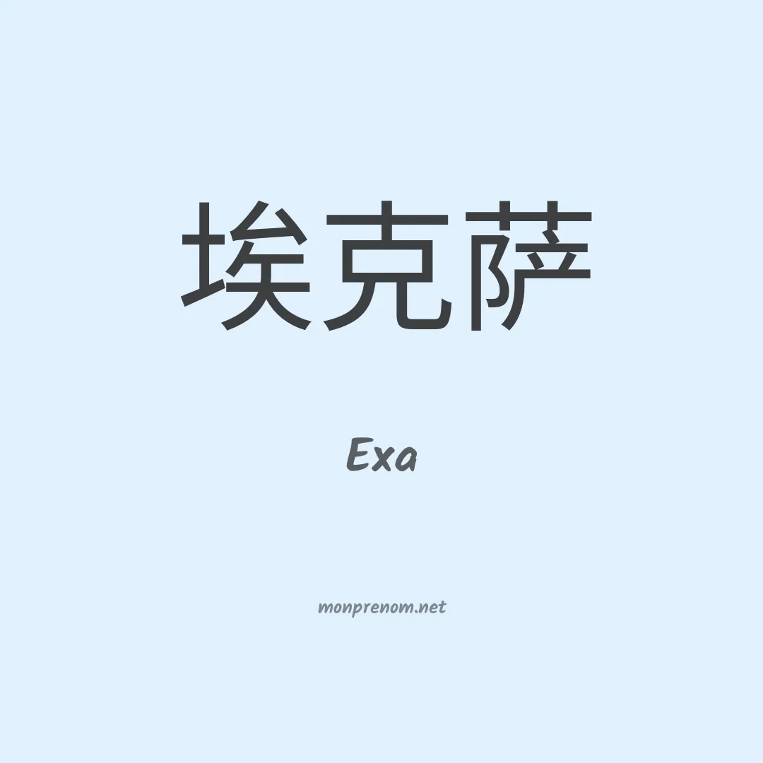 Exa en chinois