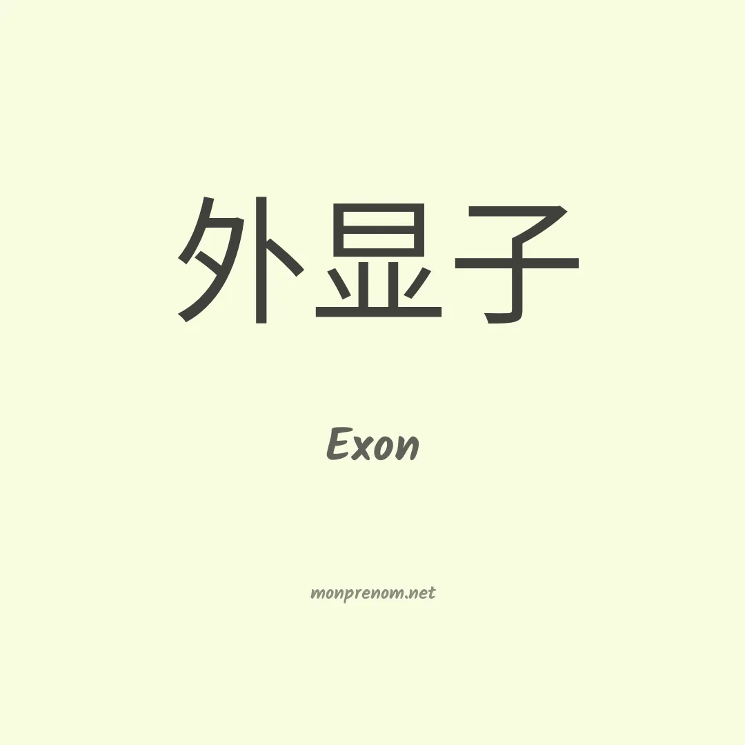 Exon en chinois