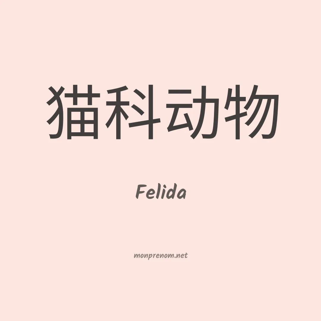 Felida en chinois