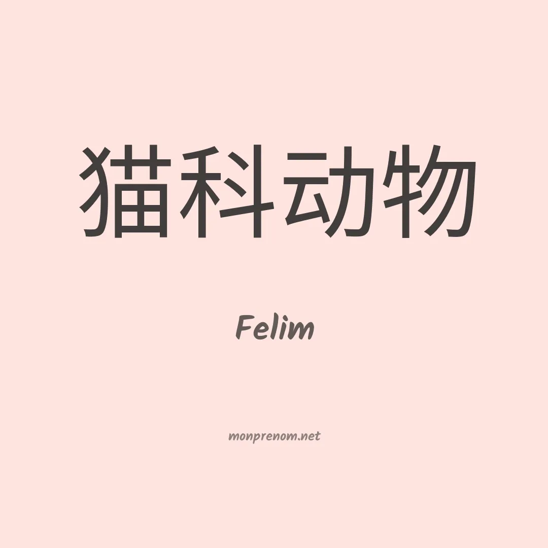 Felim en chinois