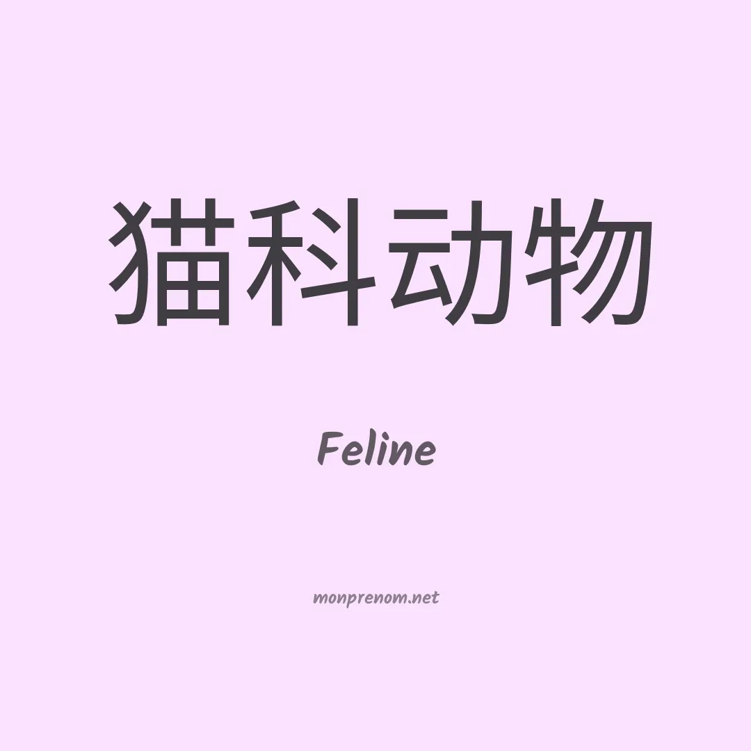 Feline en chinois