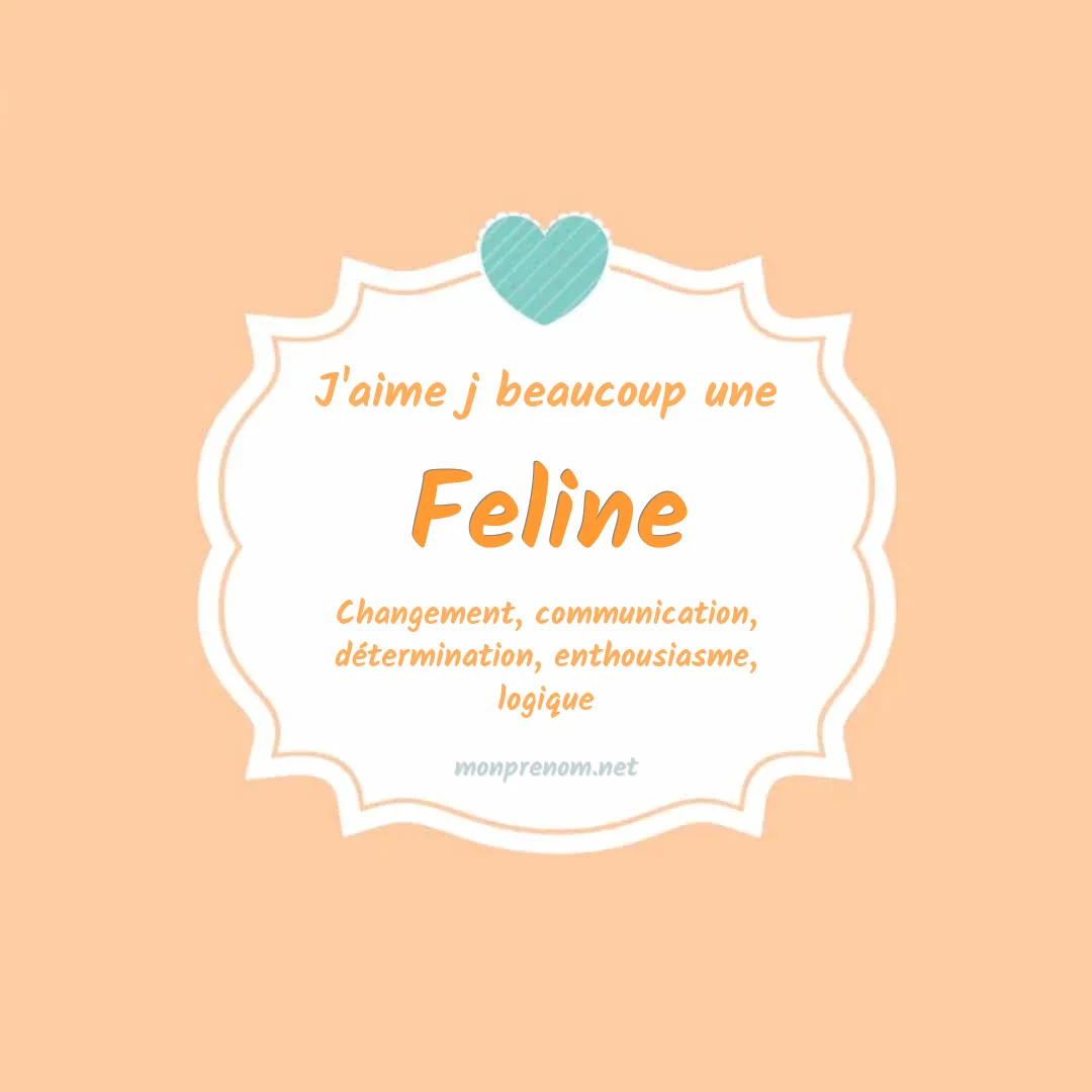 J'aime beaucoup Feline