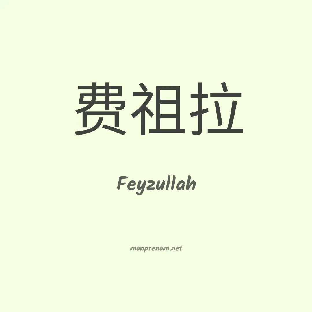 Feyzullah en chinois